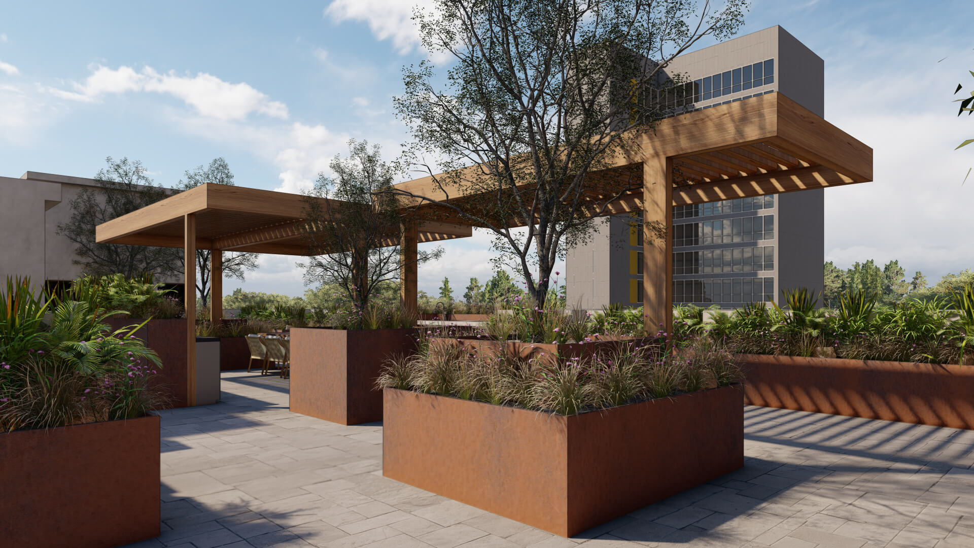Exterior Roof Garden Condesa